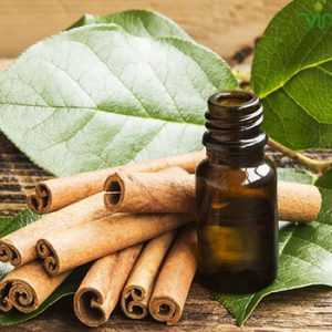 Tinh dầu quế nguyên chất nhập khẩu Hàn Quốc