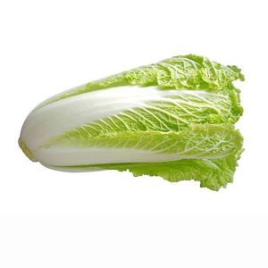 Cải thảo tươi