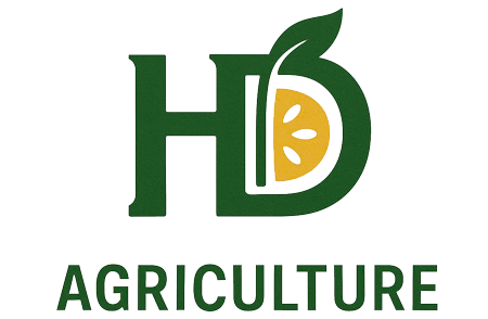 Thực Phẩm Hải Dương